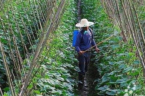 辳業(yè)領(lǐng)(ling)域